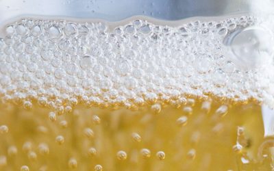 September Cider Digest