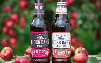 INTRODUCING DABINETT AND REDWOOD INTO THATCHERS CIDER BARN