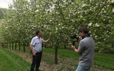 Harnessing heritage, technology and environment