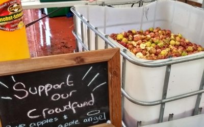 Turning London’s fruit waste into community-made beverages