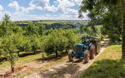 Introducing Healeys Cornish Cyder!