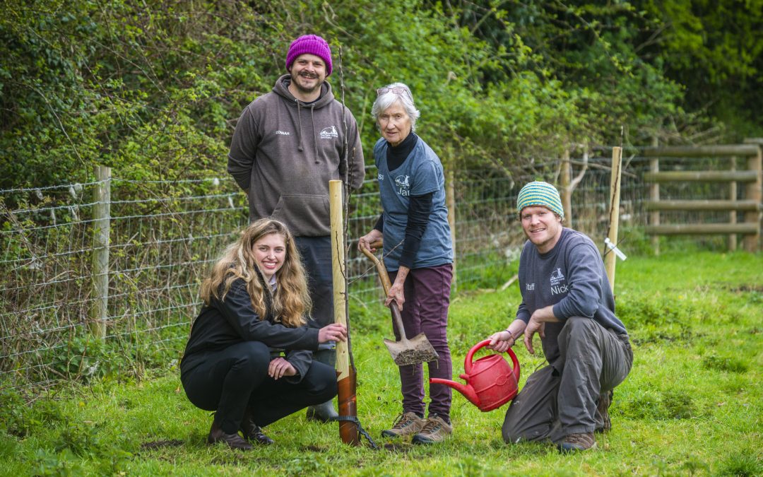 Thatchers launches its 2023 Community Orchard Project