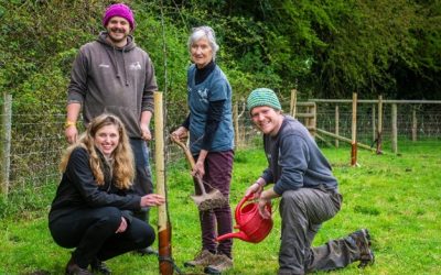 THATCHERS CIDER SET TO GIVE AWAY 500 TREES TO COMMUNITY GROUPS ACROSS THE COUNTRY