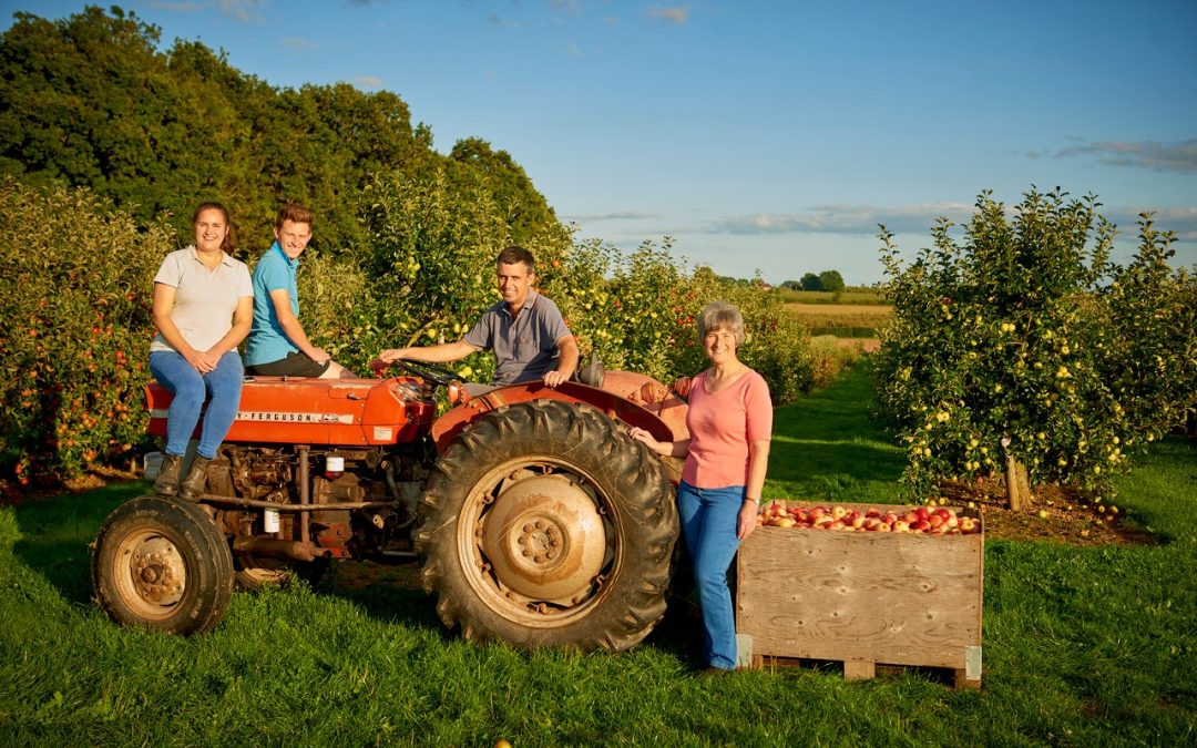 Skittery Family Birchley